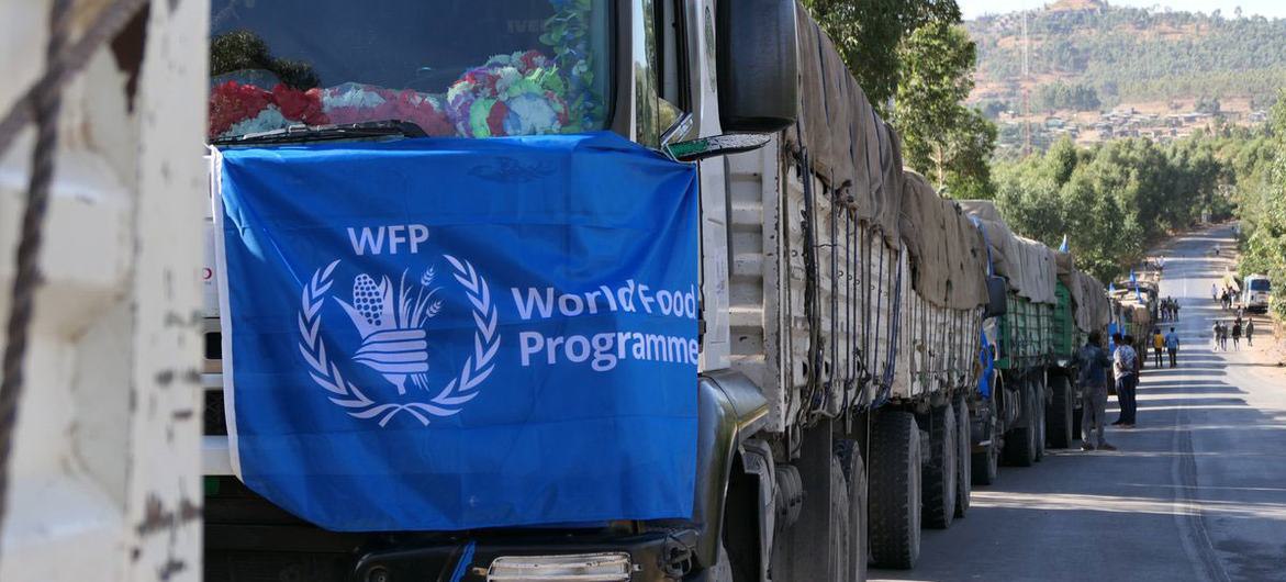 WFP